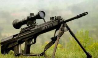 稀有宝宝和普通的有什么区别 魔兽世界lr稀有宝宝