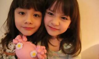 混血双胞胎姐妹和另一女主的百合小说后来另一女主被双胞胎姐妹的家庭 最美混血双胞胎