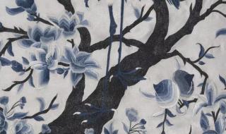 成语无什么十什么 福无十全是什么动物