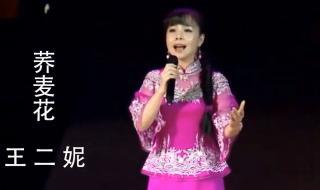 王二妮的歌