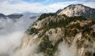 镇安木王森林公园