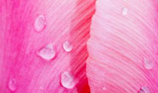 透明壁纸怎么设置 一按就透明的壁纸