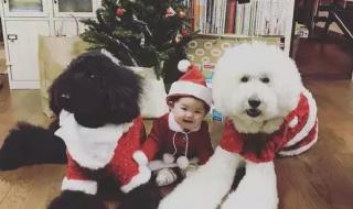 感慨父母变老儿女长大的句子 一起长大慢慢变老