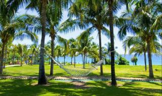 三亚南山文化景点介绍 三亚南山文化旅游区