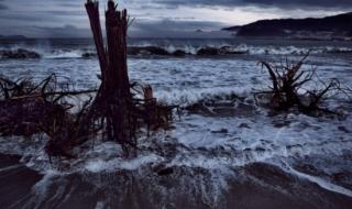 福岛核污水泄漏原因