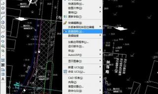 CAD粘贴复制跨文件怎么复制不了 cad不能复制粘贴