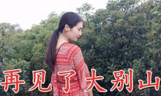 再见了大别山简谱