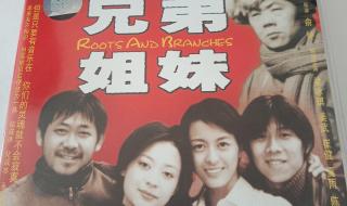 我的兄弟姐妹电影主题曲和片尾曲 我的兄弟姐妹电影