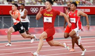 东京奥运会各国参与项目 东京奥运会各项目人数